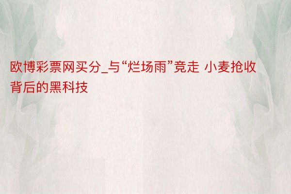 欧博彩票网买分_与“烂场雨”竞走 小麦抢收背后的黑科技