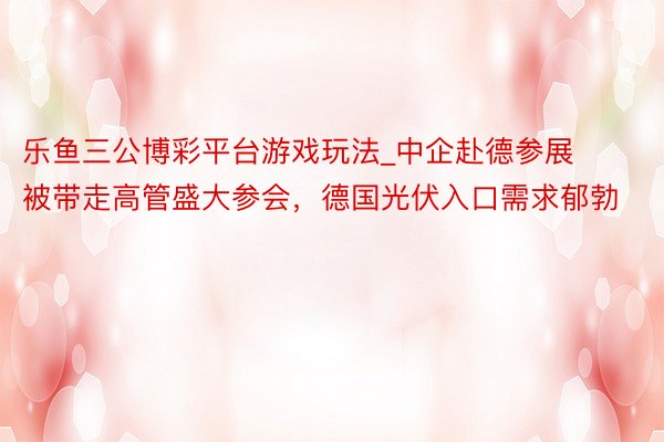 乐鱼三公博彩平台游戏玩法_中企赴德参展被带走高管盛大参会，德国光伏入口需求郁勃